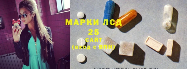 прущие грибы Баксан