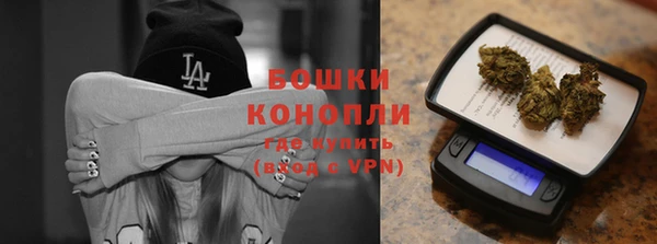 прущие грибы Баксан