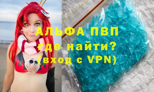 прущие грибы Баксан