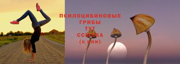 скорость mdpv Балабаново