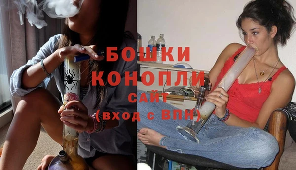 прущие грибы Баксан