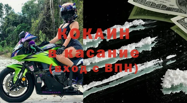 прущие грибы Баксан