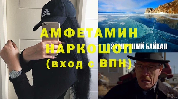 прущие грибы Баксан