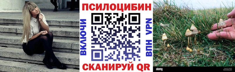 mega как войти  Гороховец  Псилоцибиновые грибы MAGIC MUSHROOMS 